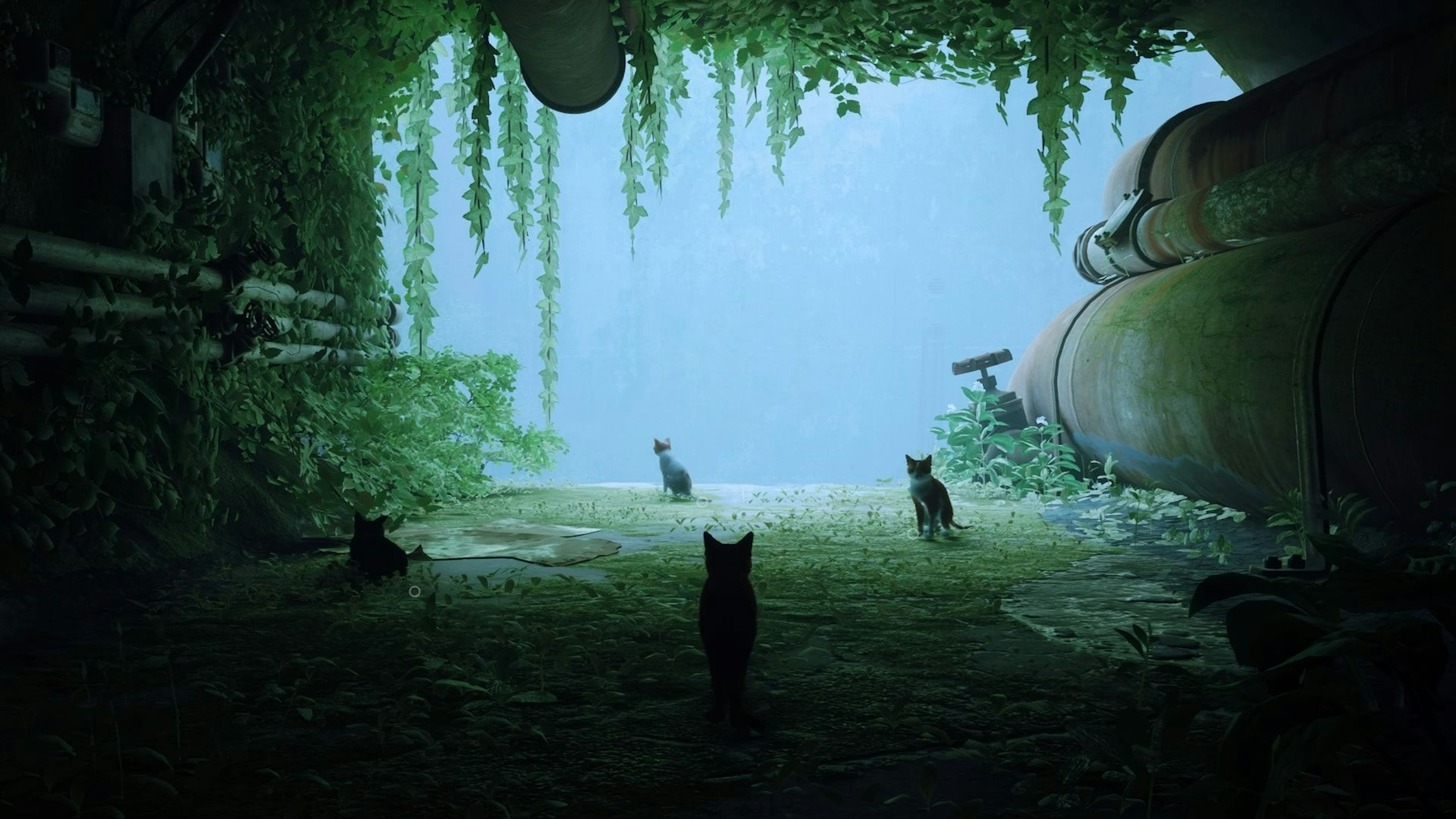 Screenshot of Stray