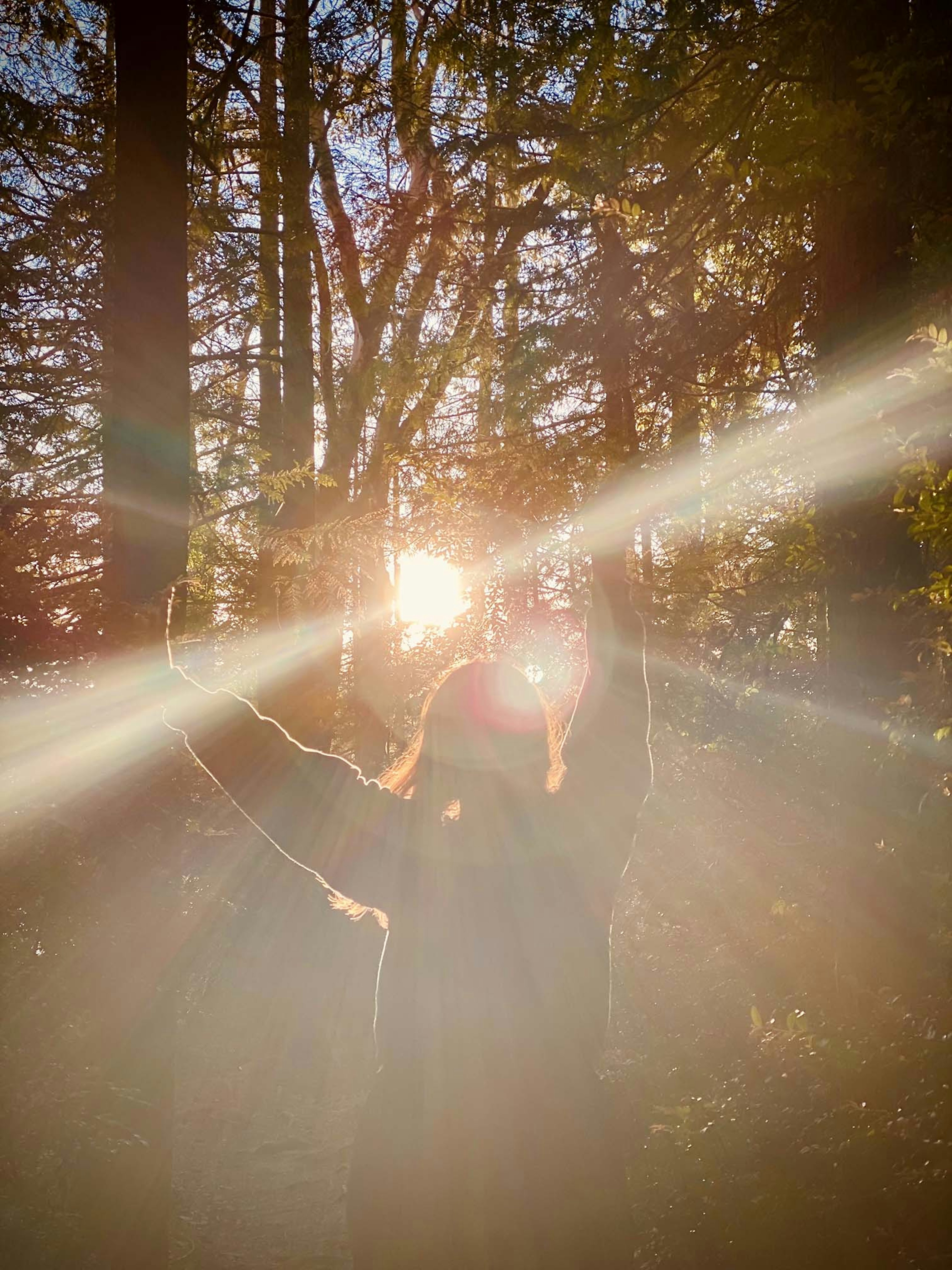 Photo of Woman in front of sunset